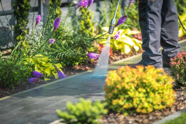 Best Dumpster Area Cleaning  in Oak Ridge, FL